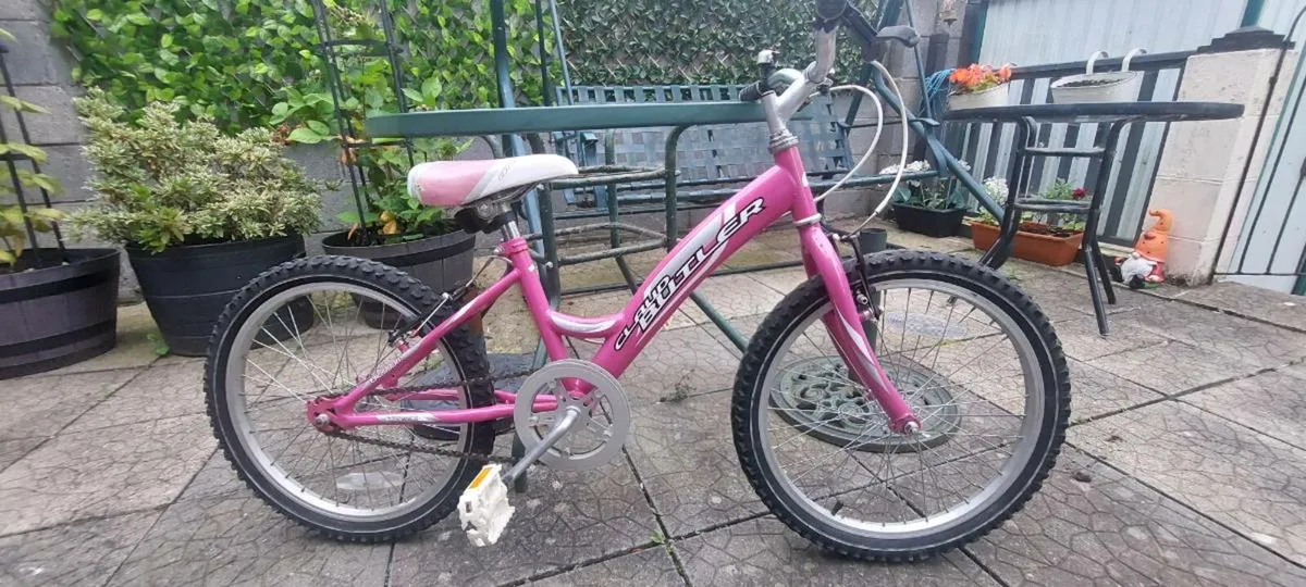 Bicycle - Image 1