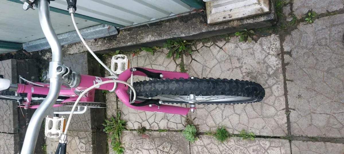 Bicycle - Image 4