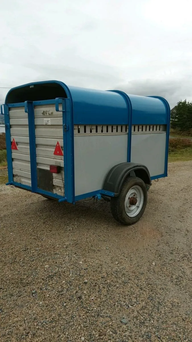 Ifor Williams pig trailer - Image 3