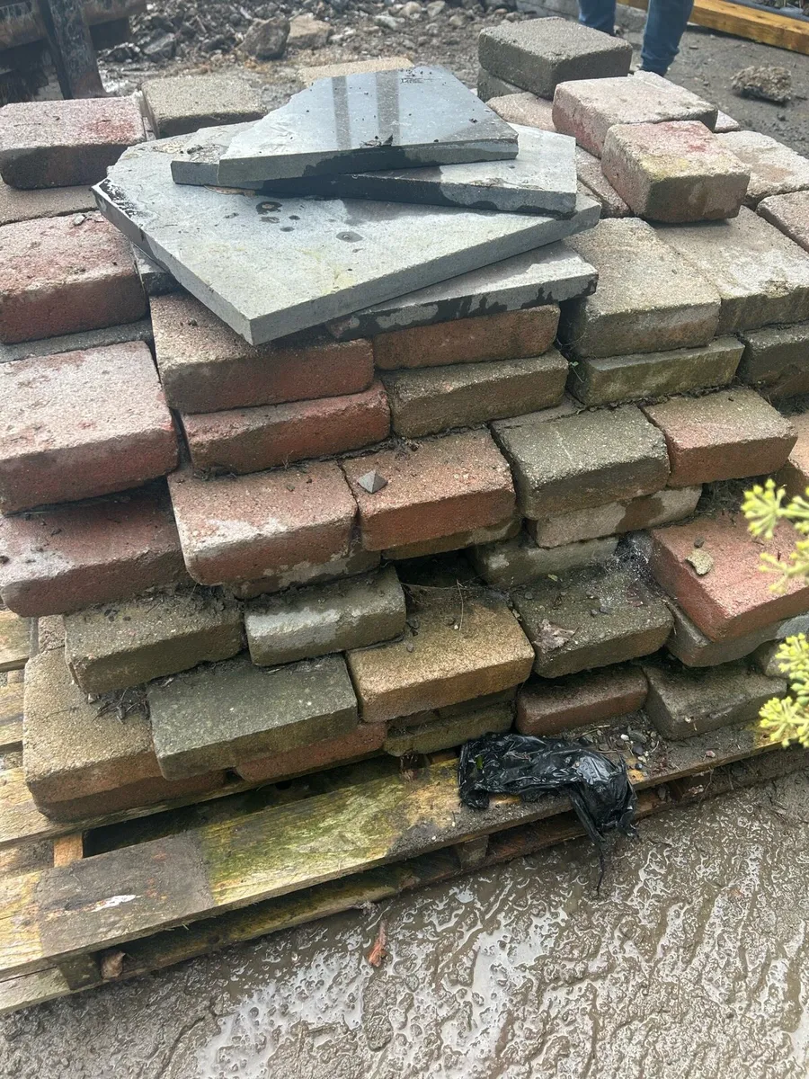 Paving bricks - Image 1