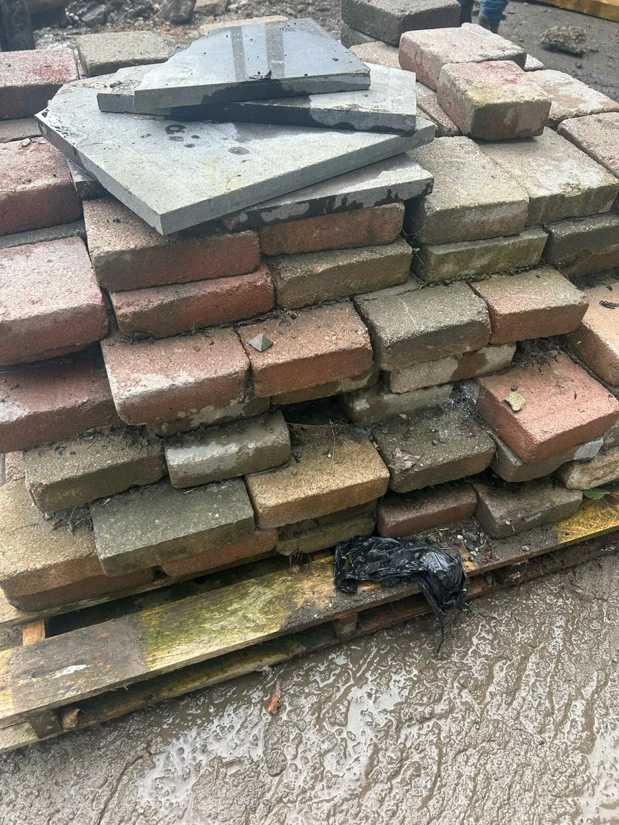 Paving bricks - Image 2