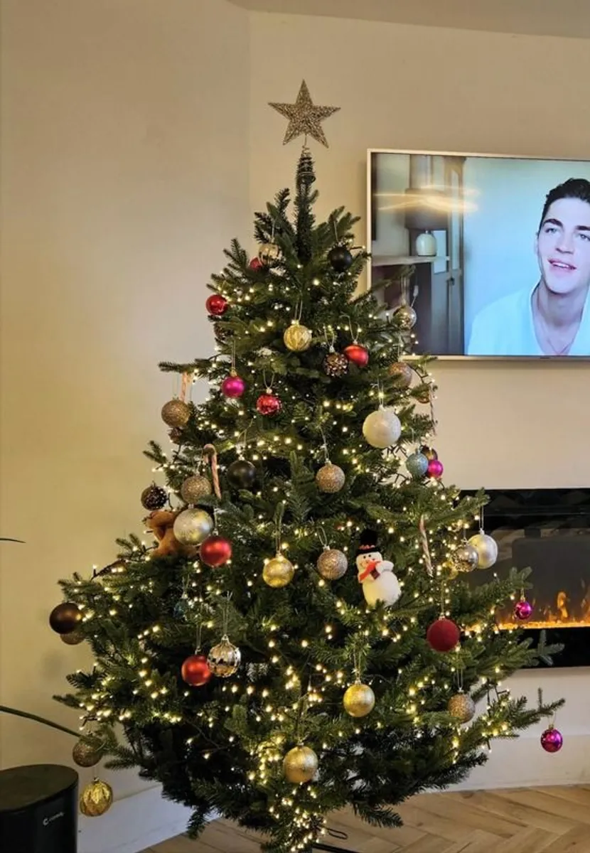 6ft Mixed Tip Natural Look Christmas Tree - Maynooth - Image 1
