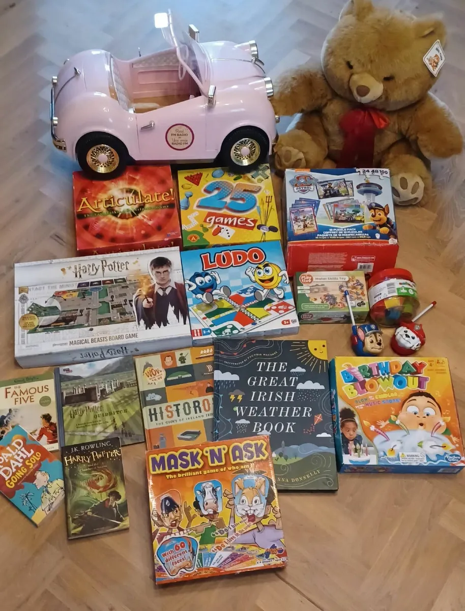 Large Toy Bundle