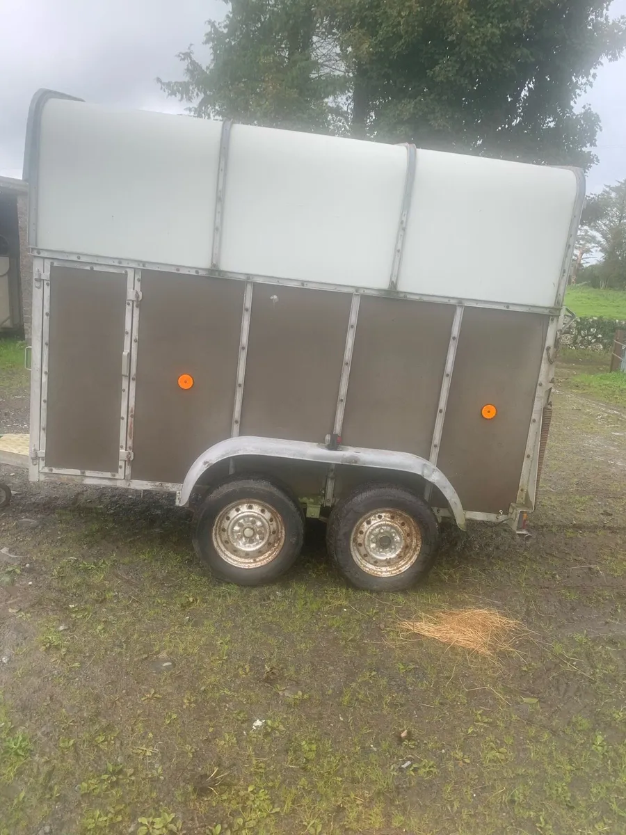 Horse box - Image 3