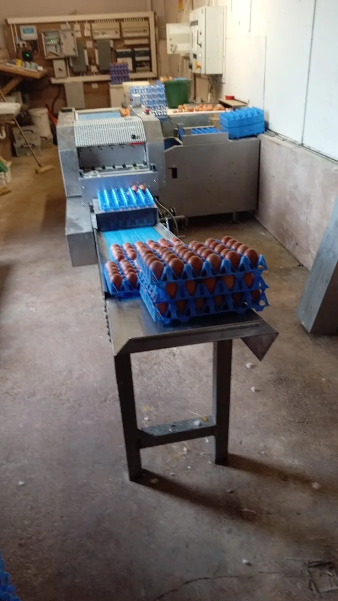 egg packer - Image 1