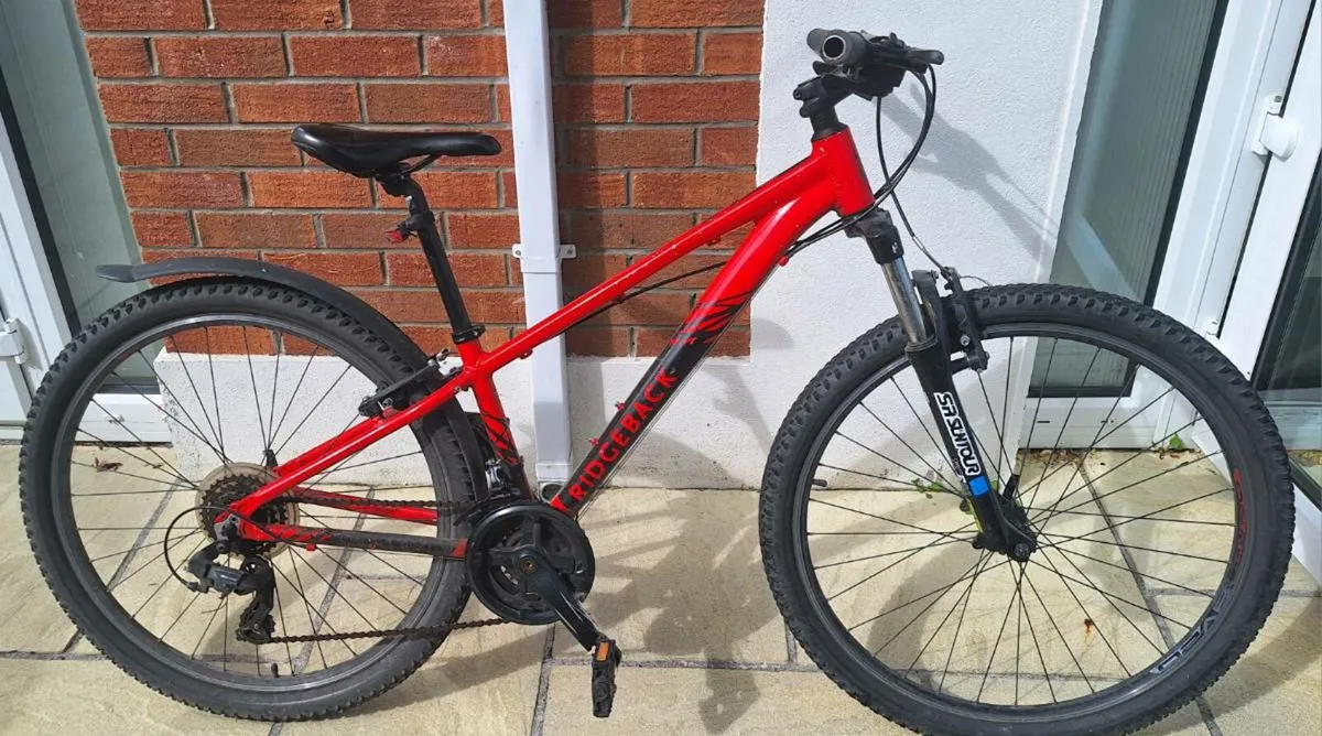 Ridgeback Bicycle - Image 1