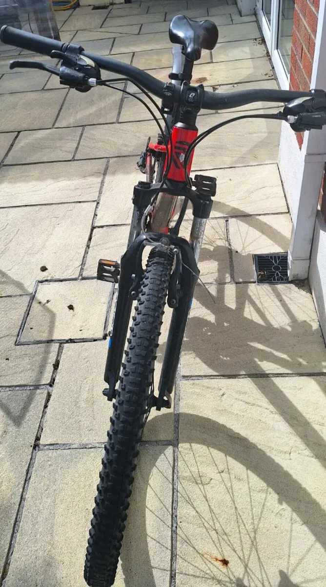 Ridgeback Bicycle - Image 2