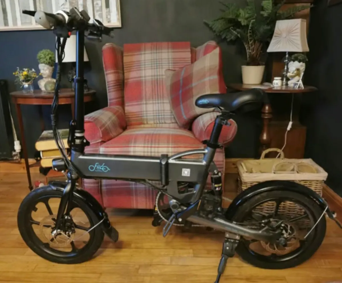 Fiido D2S electric folding bike. 
Type: Folding el - Image 1