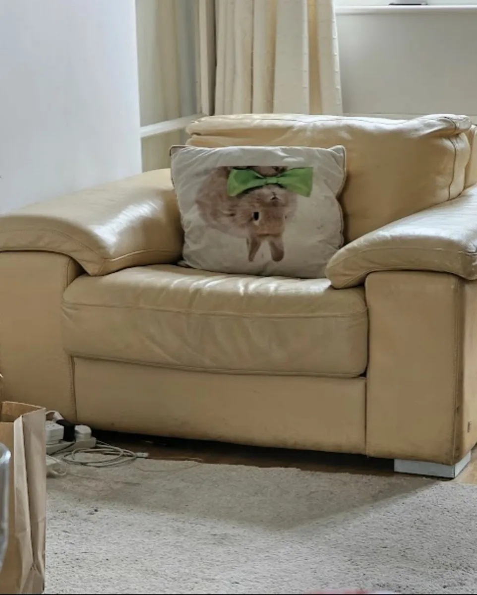 Large leather armchair - Image 1
