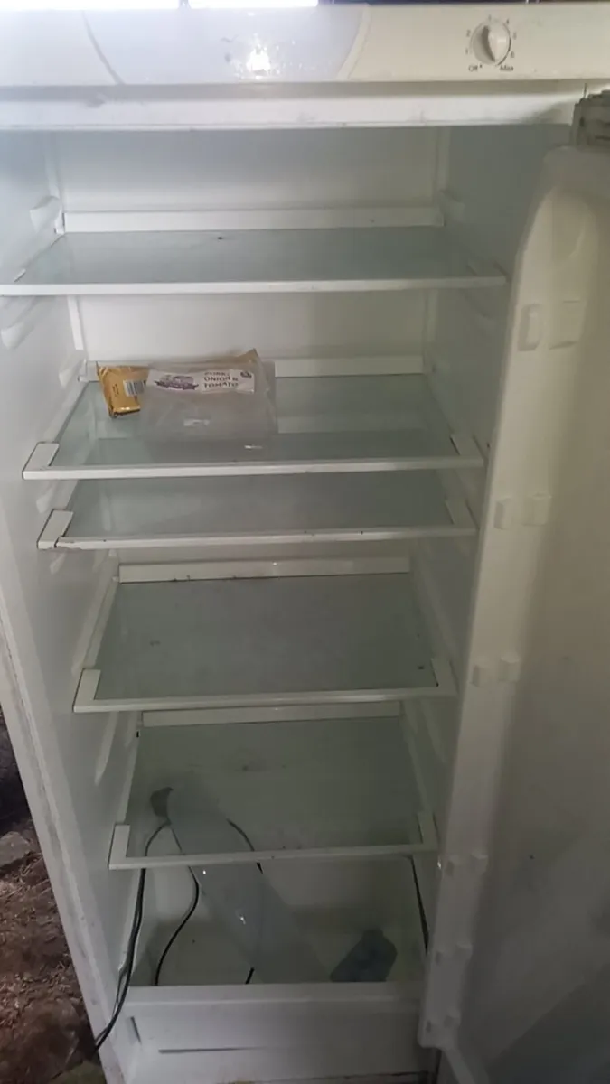 Whirlpool Fridge - Image 2