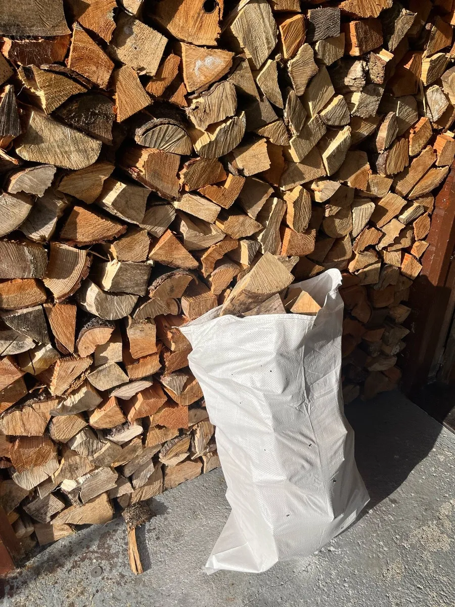 Firewood - Image 2