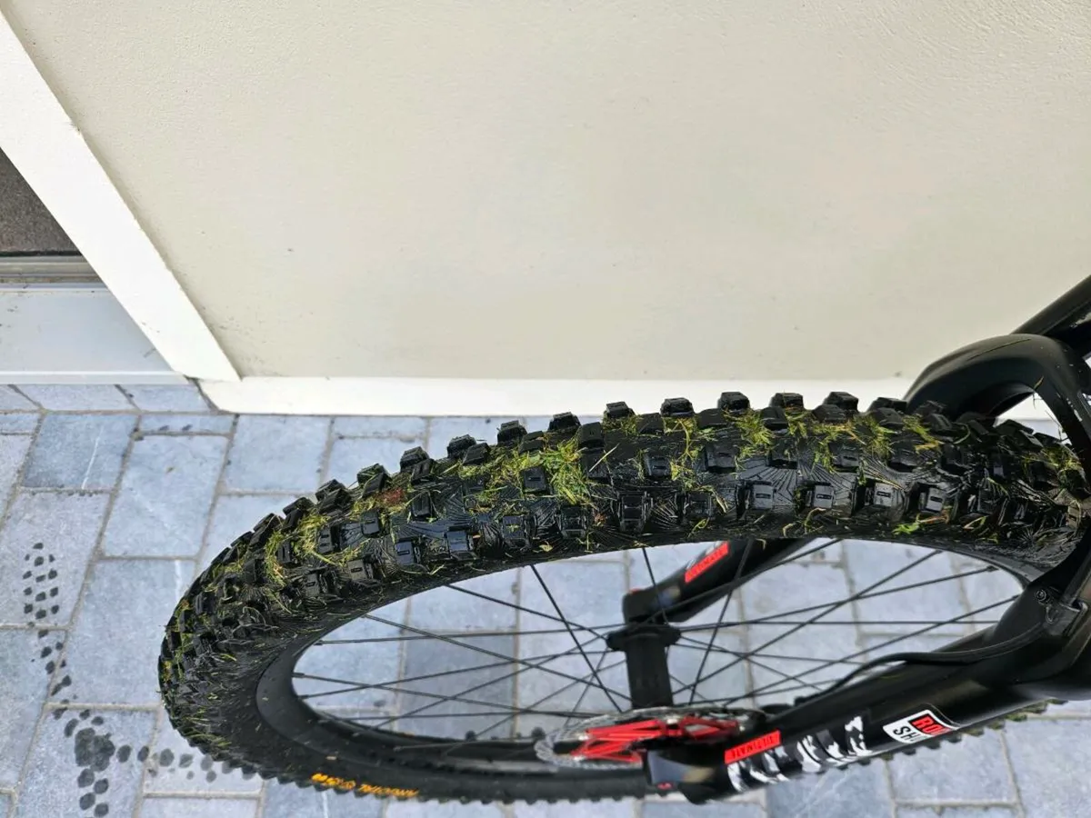 Trex rail emtb - Image 3