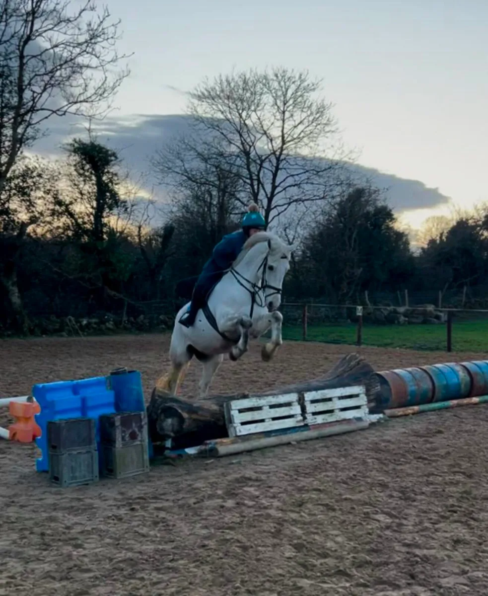 Super All Rounder - Image 3