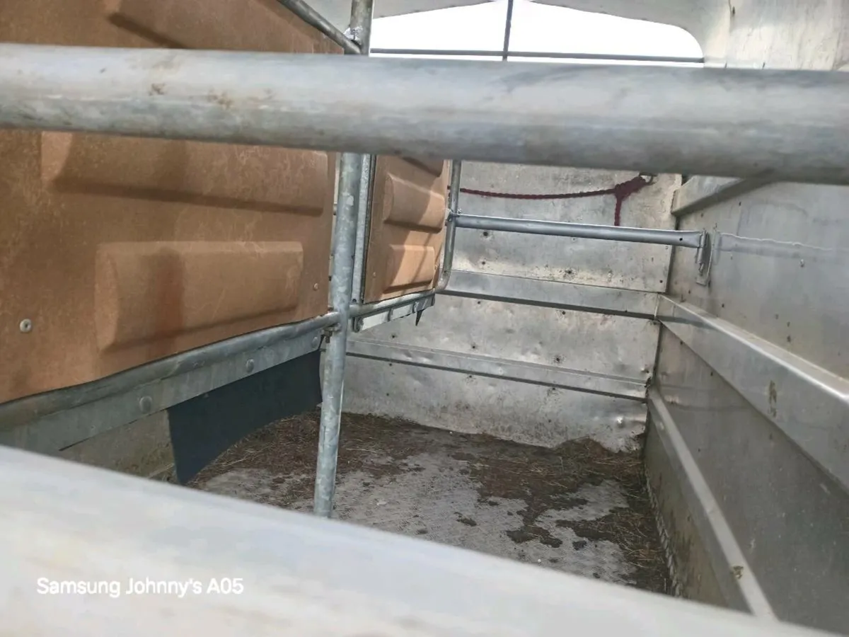 Cattle trailer - Image 4