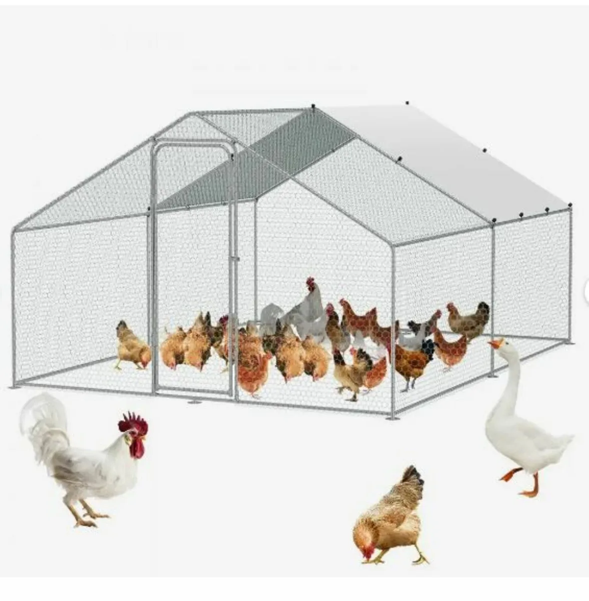 Metal Chicken Coop Walk-in Chicken - Image 3