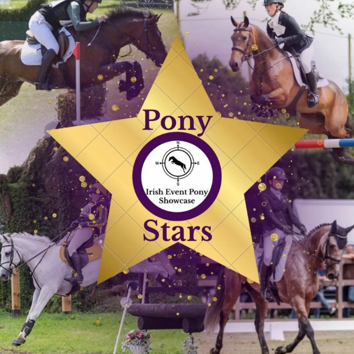 Pony Stars - Ireland's ONLY curated pony Showcase! - Image 1