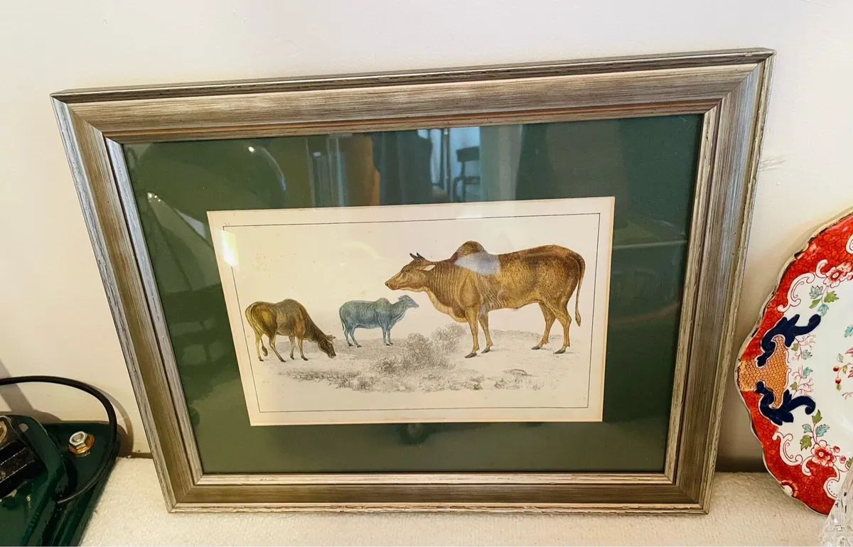 18th Century Framed Colour Engraving - Image 1