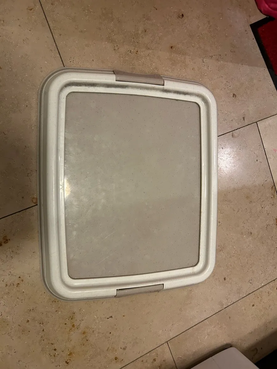 Dog accessories - Image 1