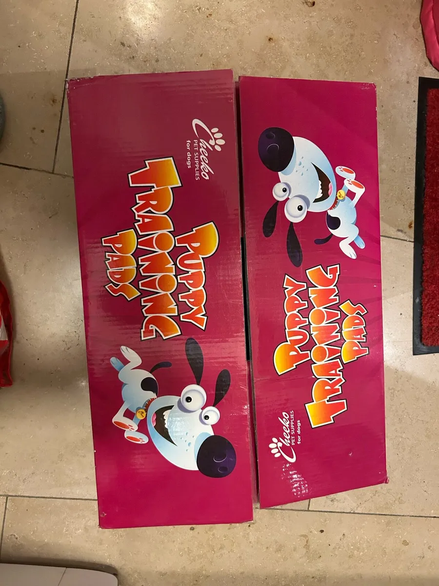 Dog accessories - Image 2