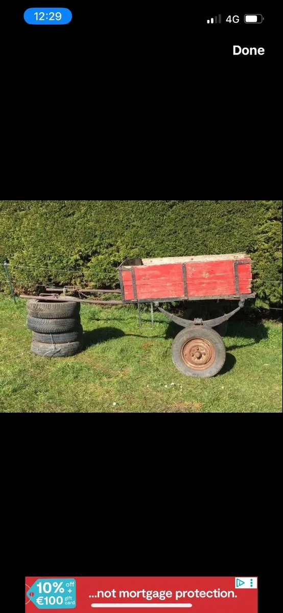Donkey cart - Image 2