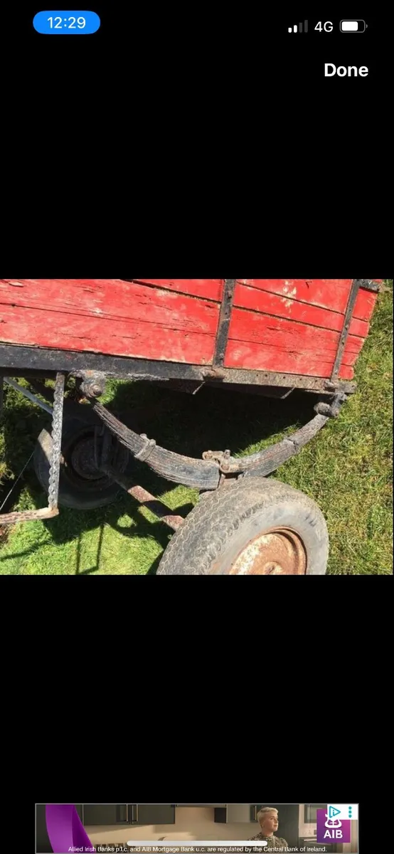Donkey cart - Image 3