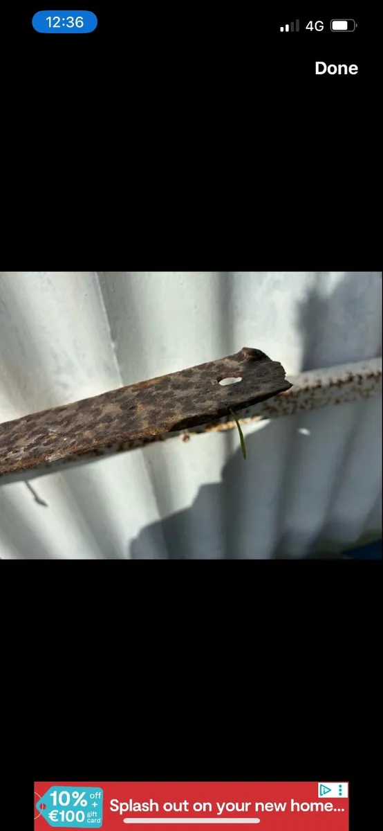 4 old trap springs - Image 2