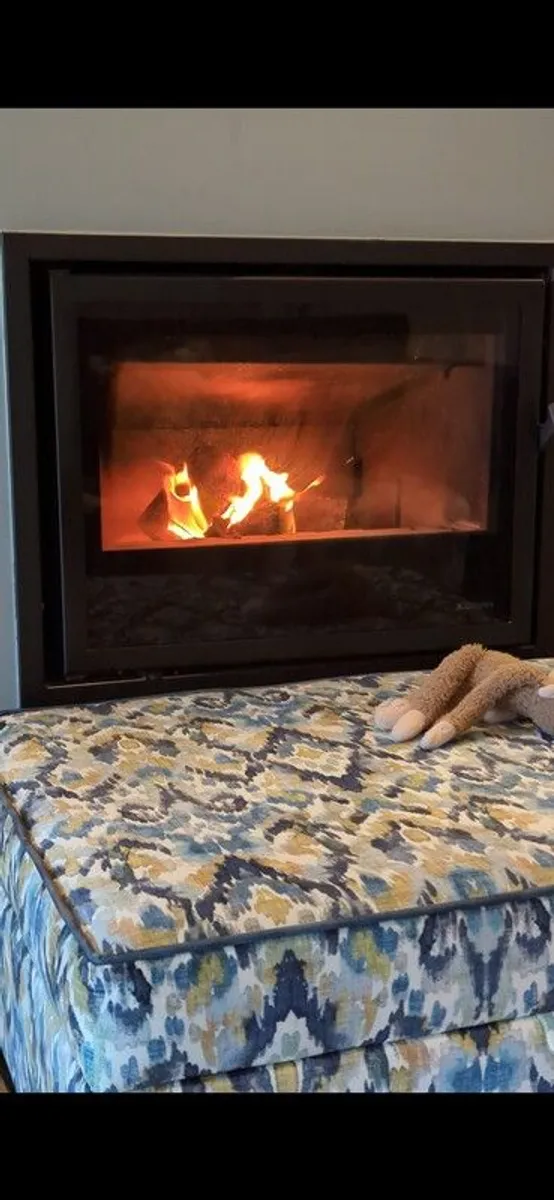 Dimplex Wood Burning Cassette (DC700) - Image 3