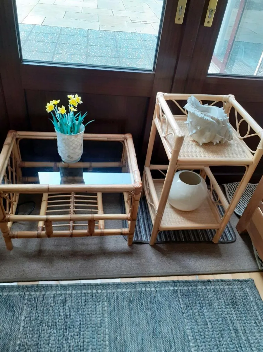 Conservatory Furniture - Image 2