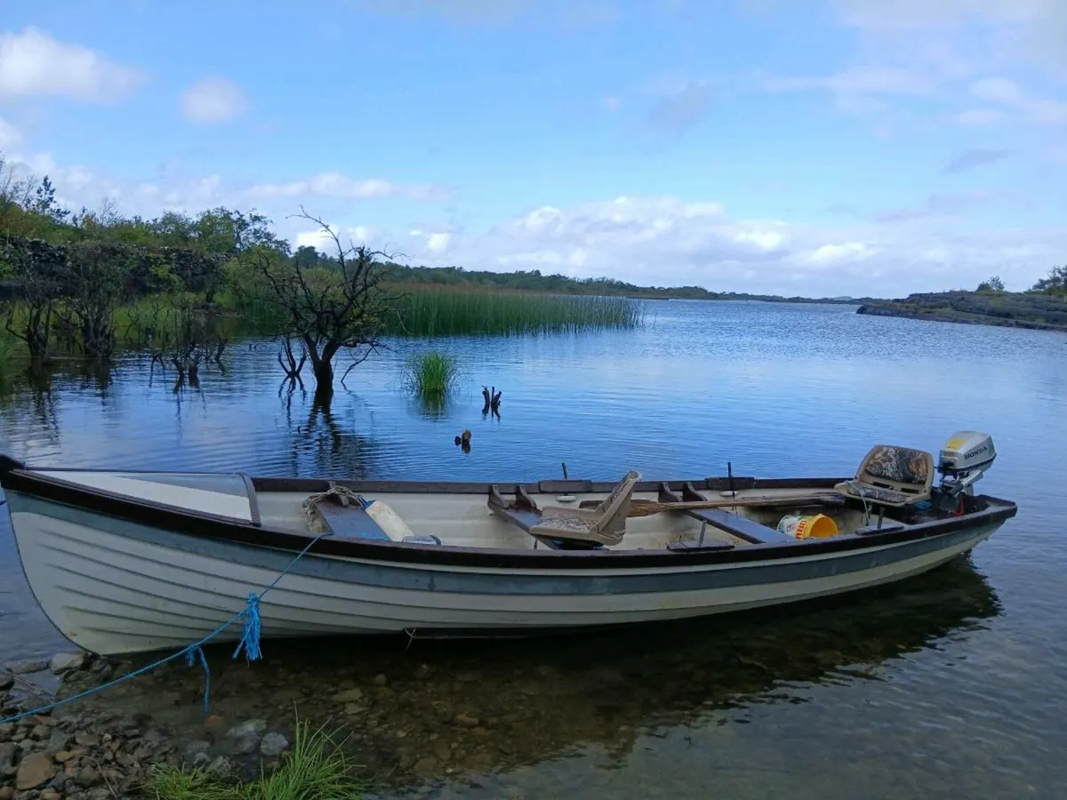19ft Sheelin Boat and Trailer with Honda outboard - Image 3