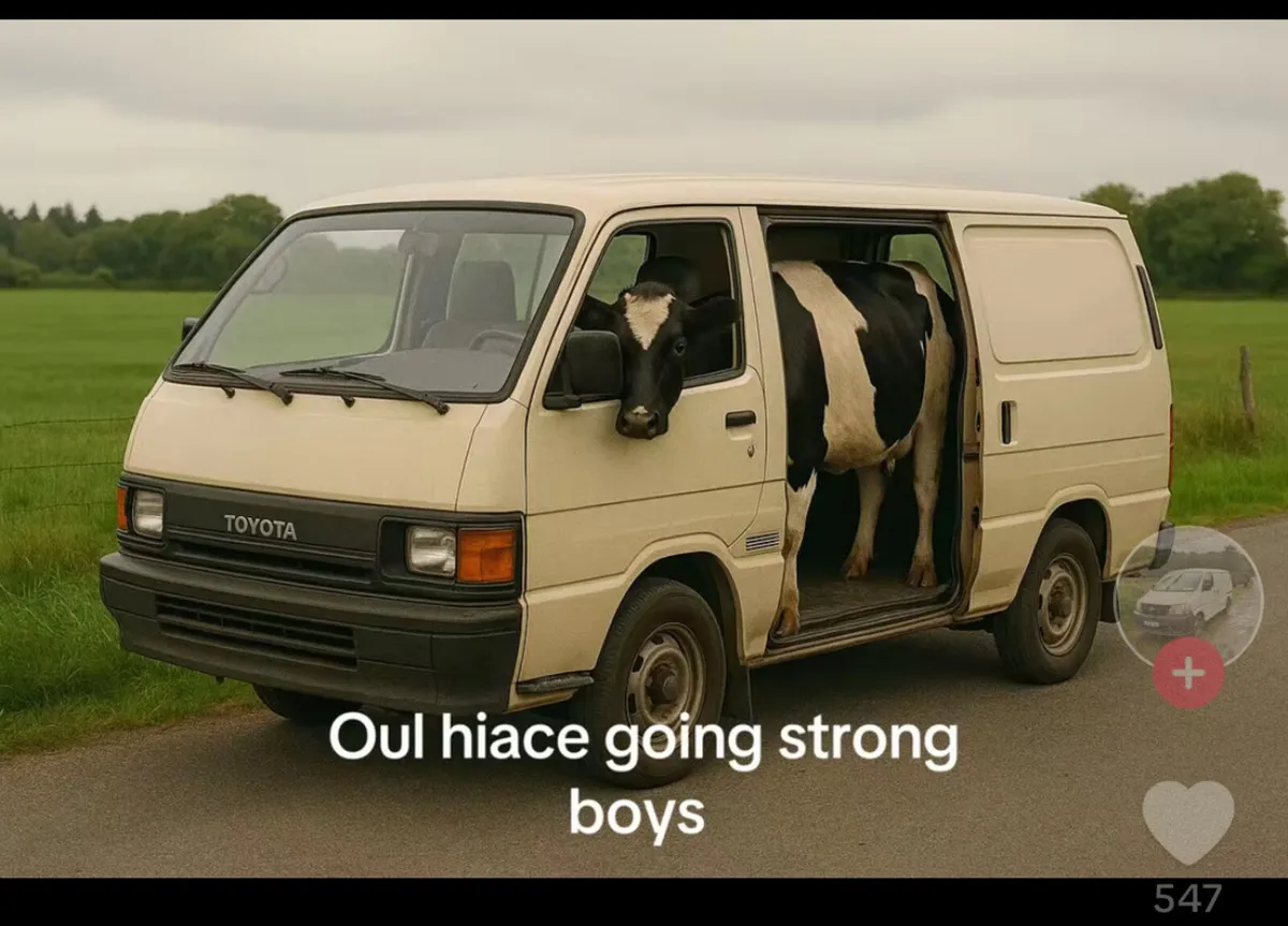 Livestock Haulage Wexford - Image 1