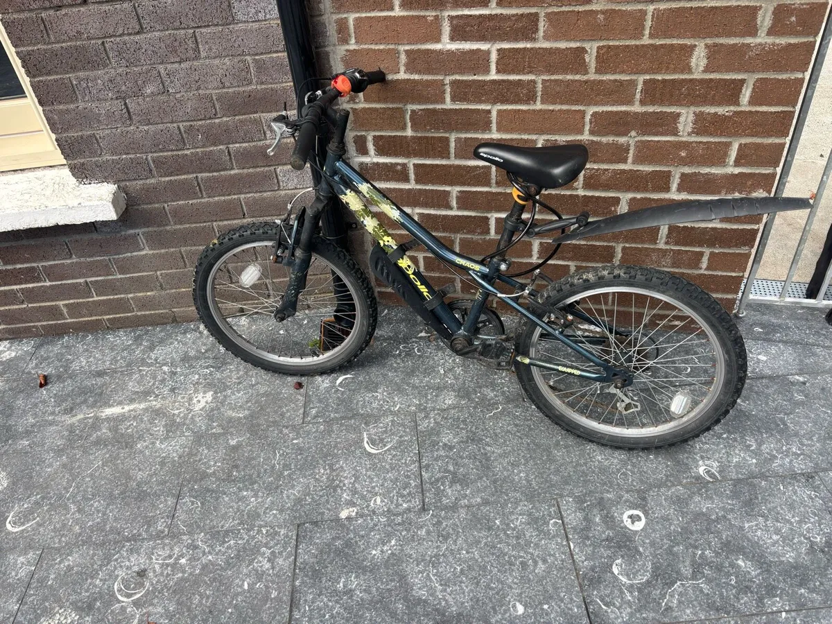 Boys Apollo bicycle - Image 2