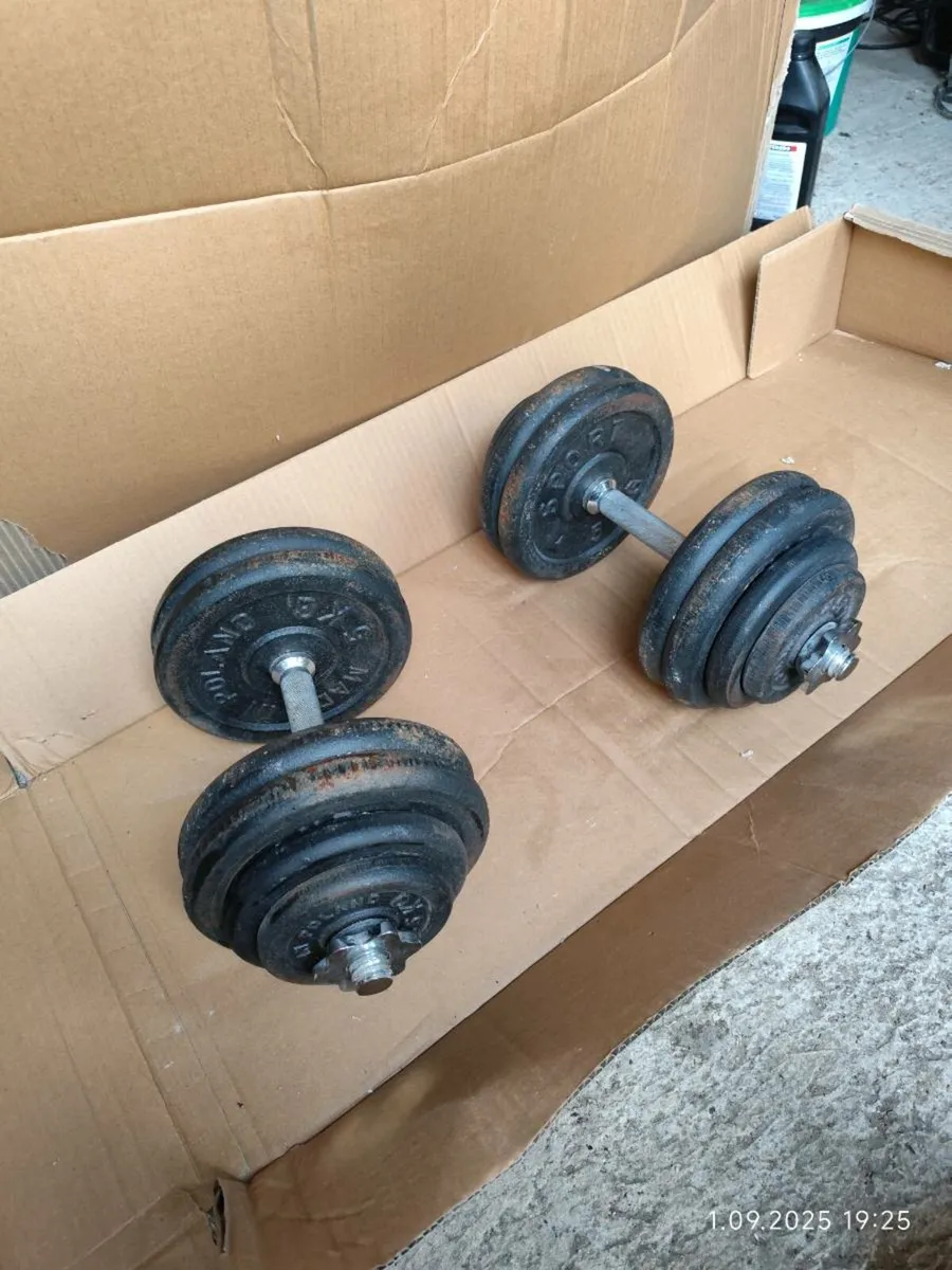 Dumbbells - Image 1
