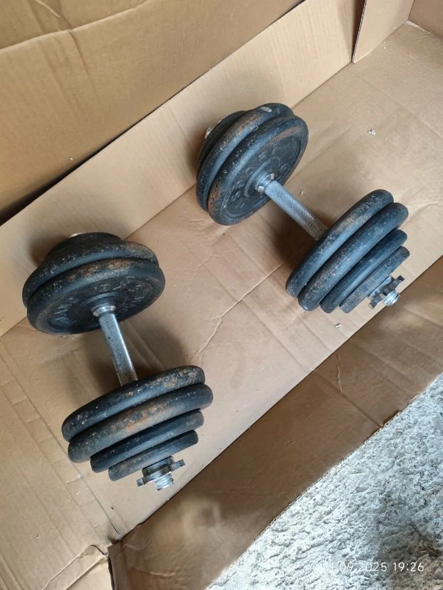 Dumbbells - Image 4