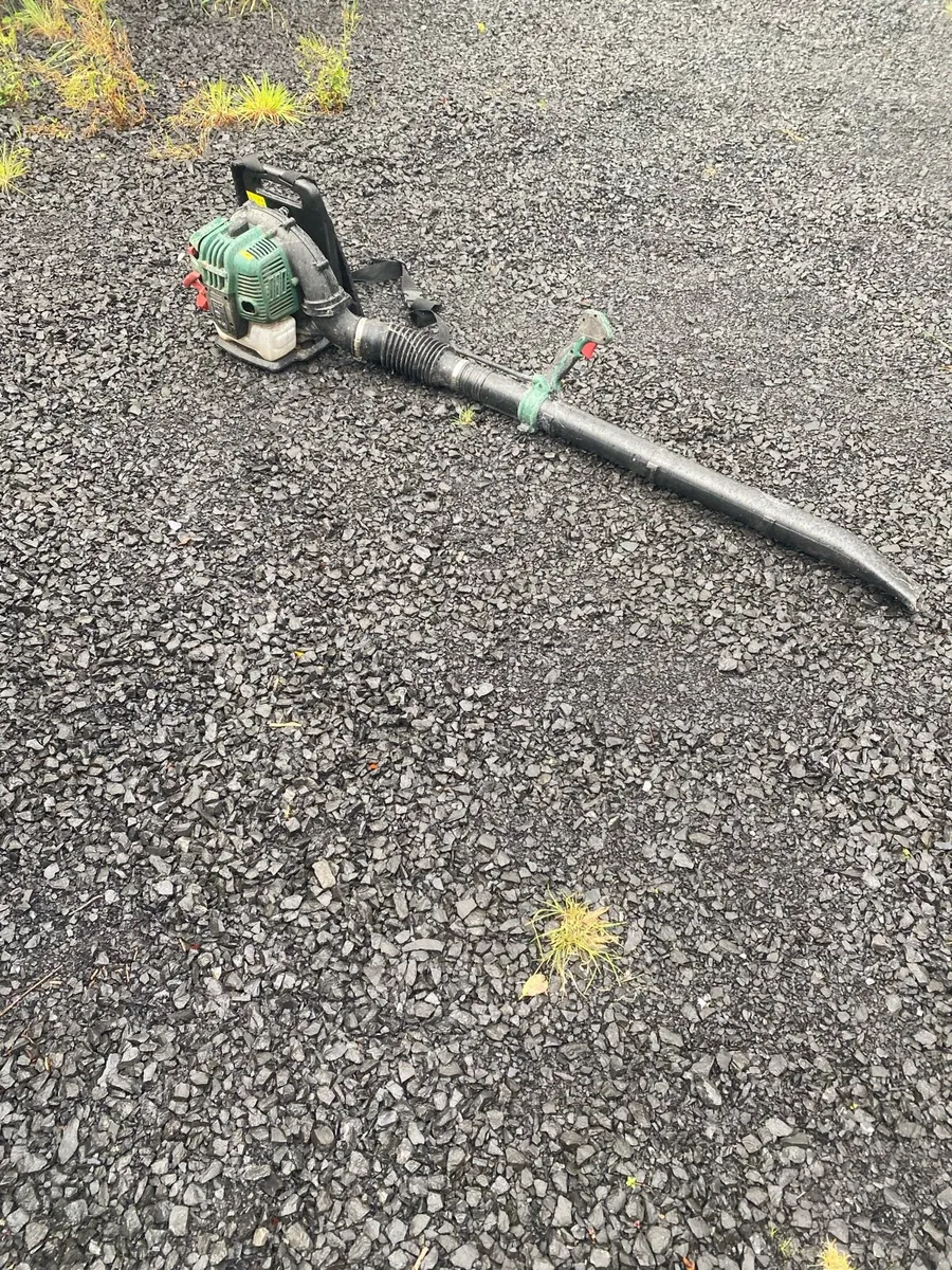 Leaf blower