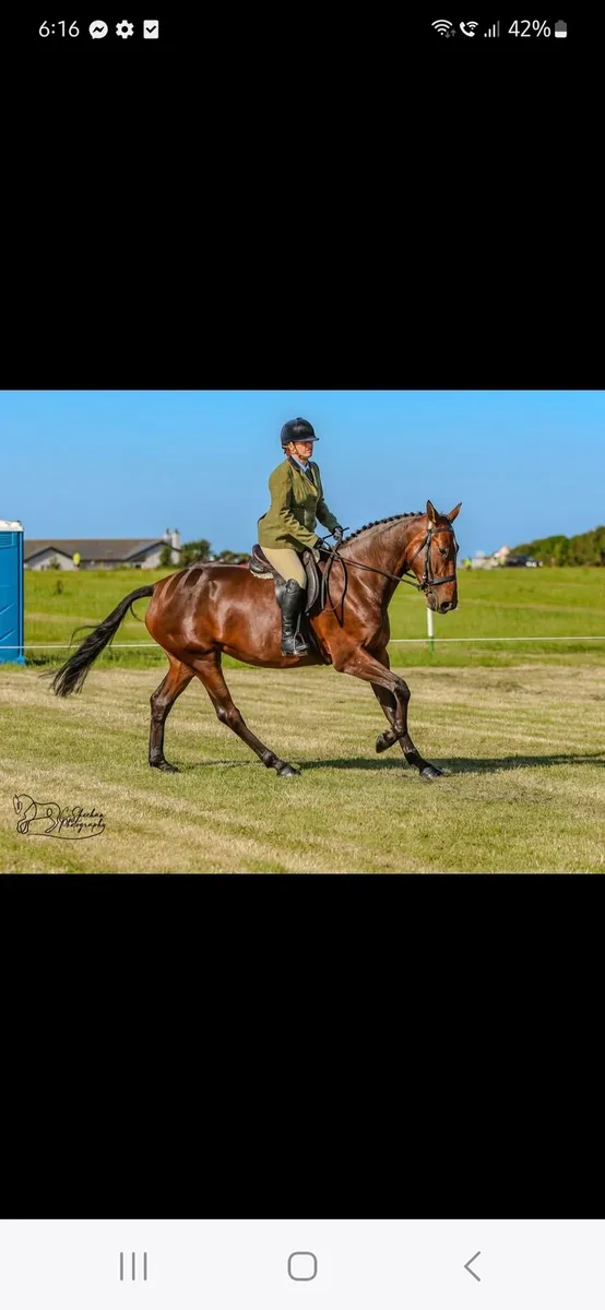 Raheenagurren stables - Image 4