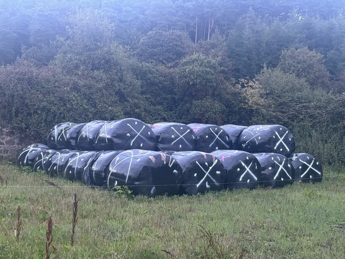 Silage bails