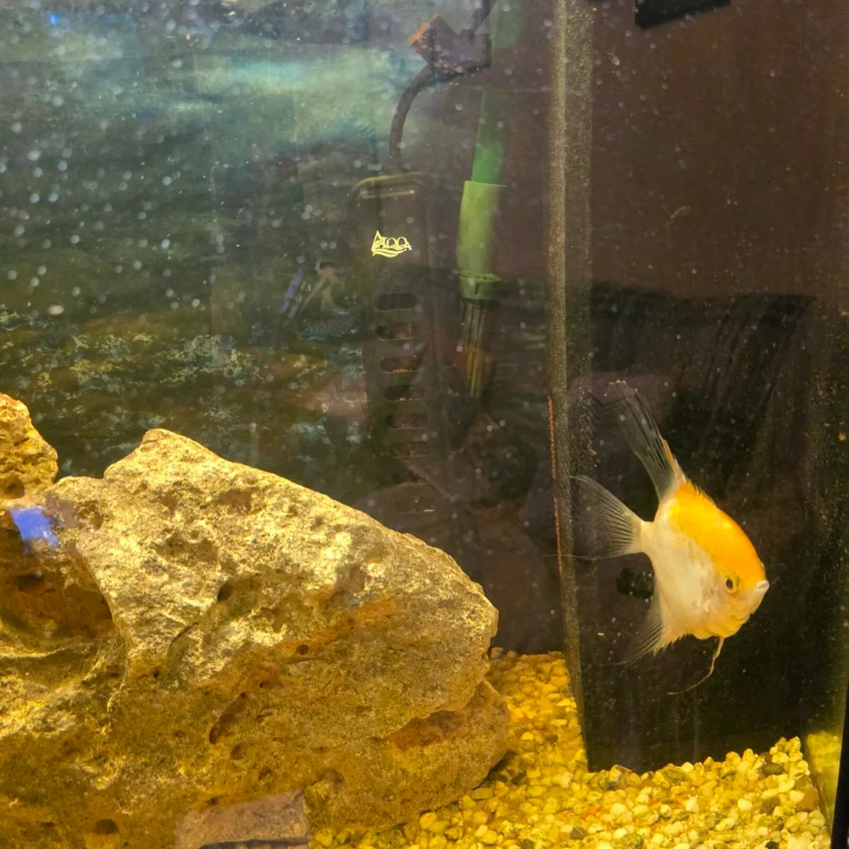 Jewel fish tank - Image 3