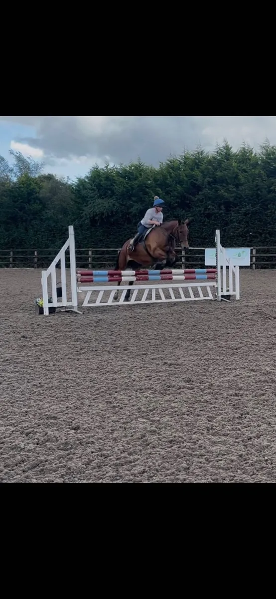 Cracking allrounder - Image 1