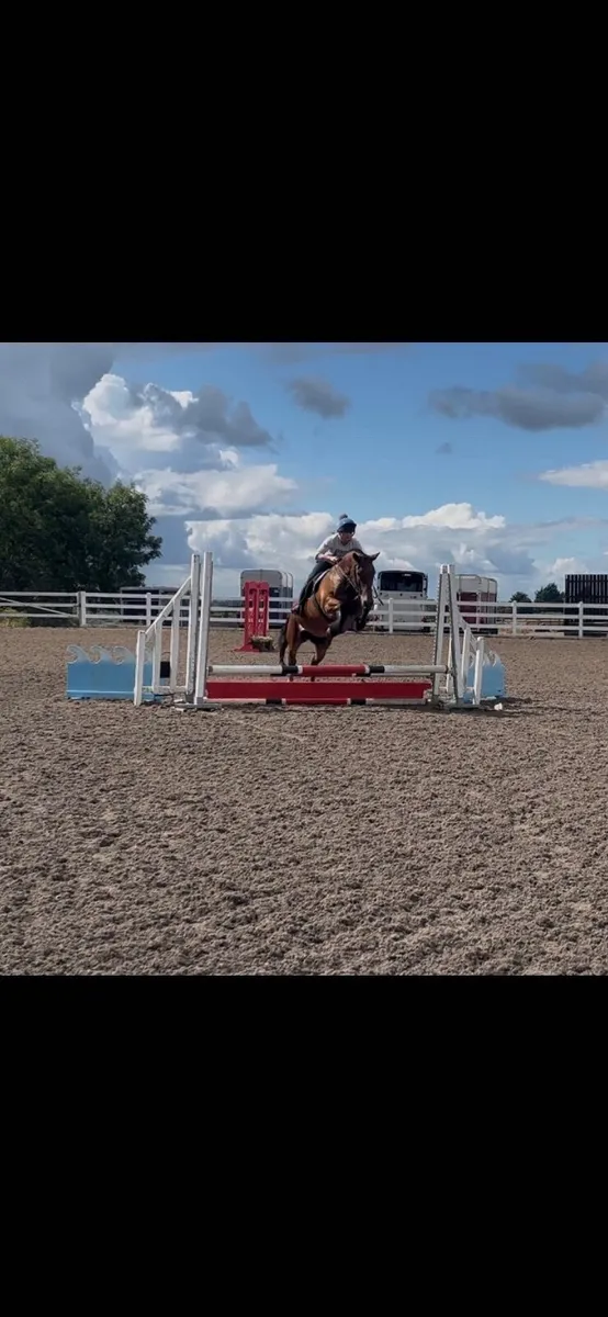 Cracking allrounder - Image 3