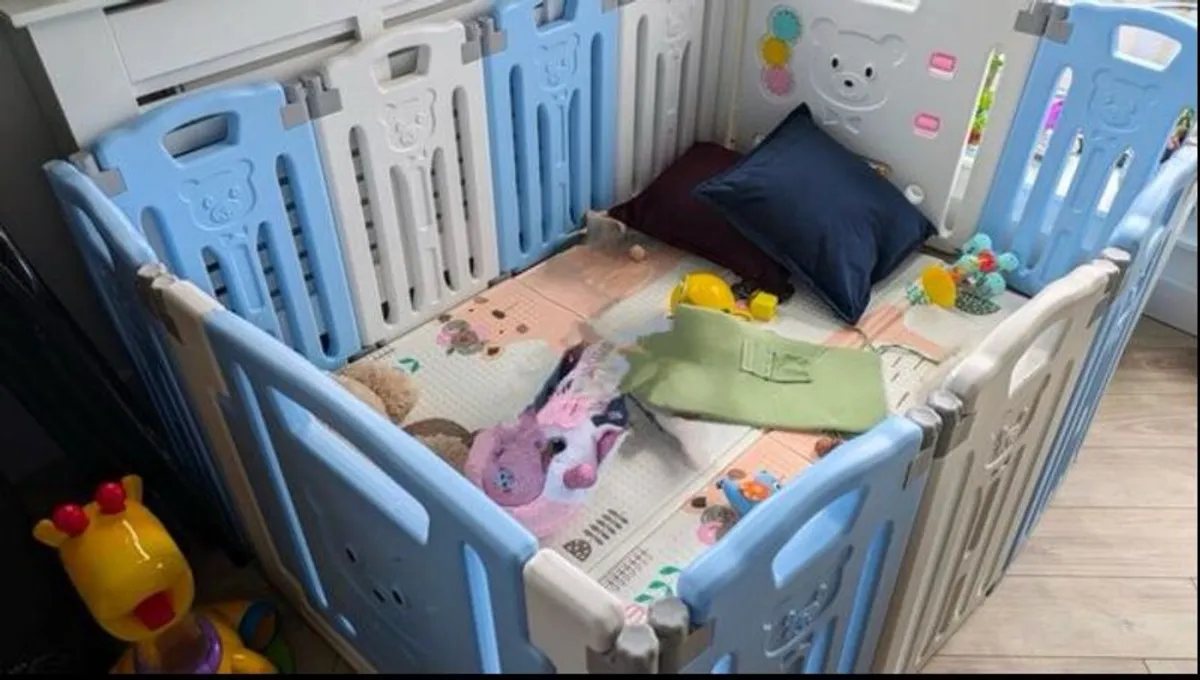 Playpen - Image 2
