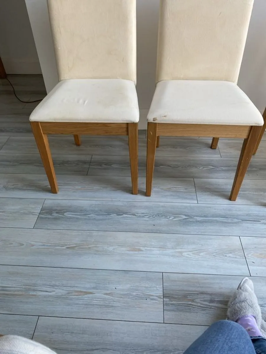 Ex Habitat dinning chairs , in good condition  , solid and minus cover . Bergmund Ikea cover works perfectly to cover these - Image 1