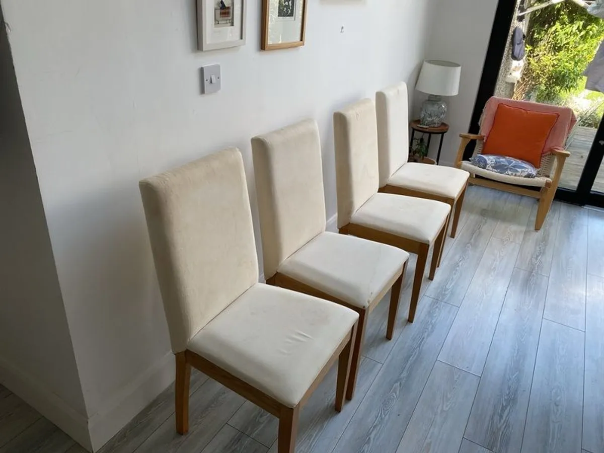Ex Habitat dinning chairs , in good condition  , solid and minus cover . Bergmund Ikea cover works perfectly to cover these - Image 2