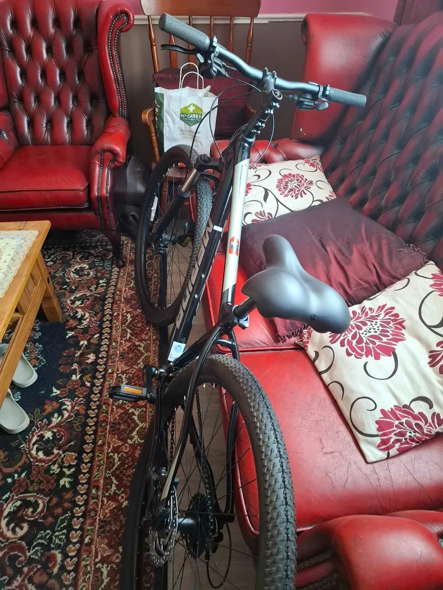 Bike - Image 2