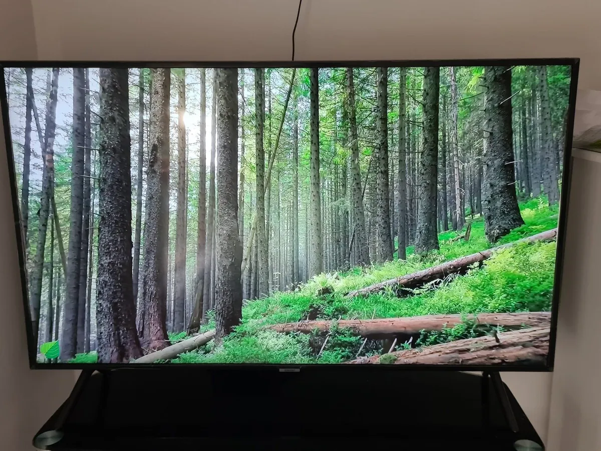 Samsung 50” TV - Image 2