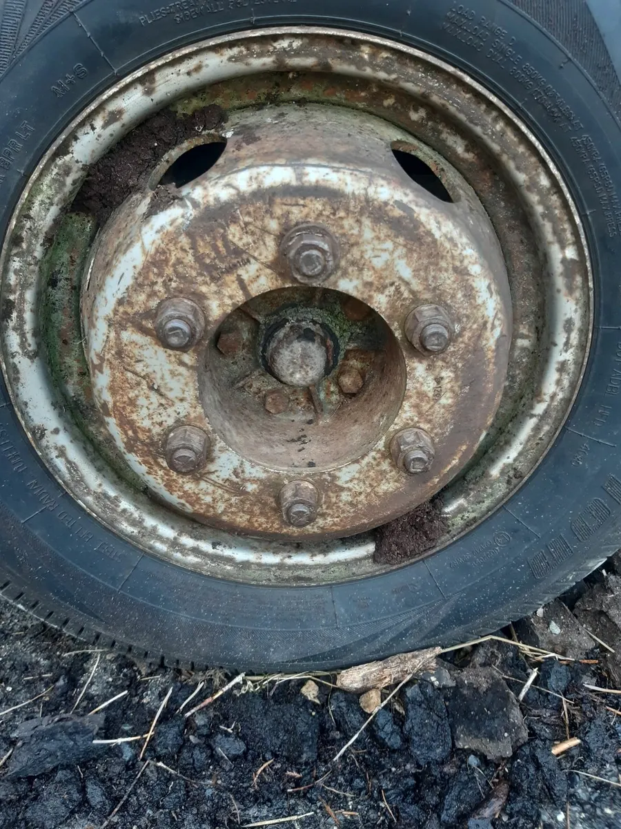 WANTED - Image 1
