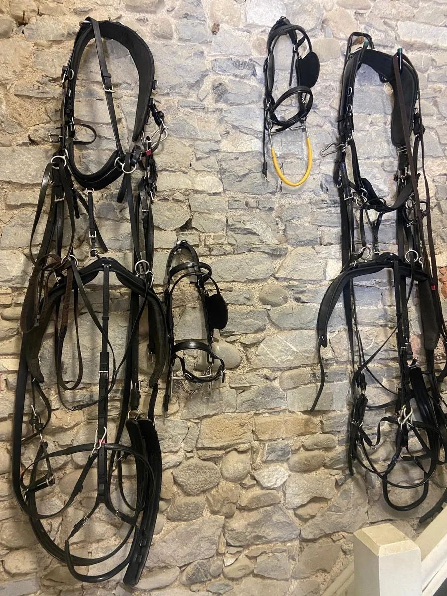 Four wheel carriage and pair zilco harness - Image 1