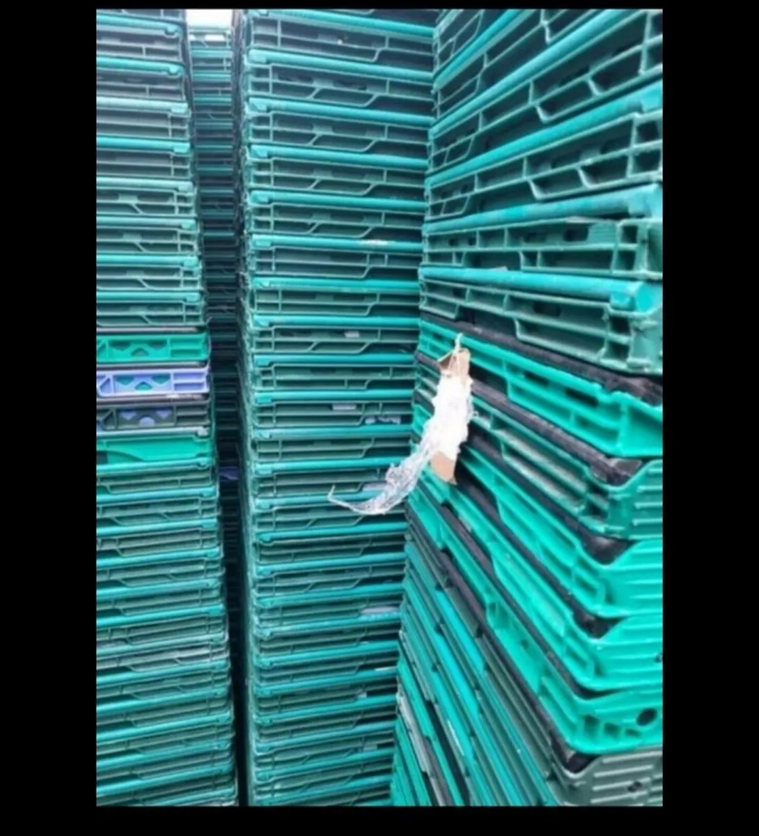 Storage stacking crates 1e each great condition an - Image 4