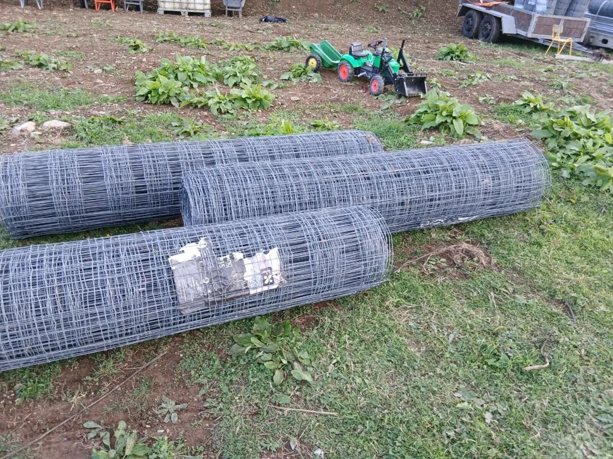 Fencing wire - Image 1