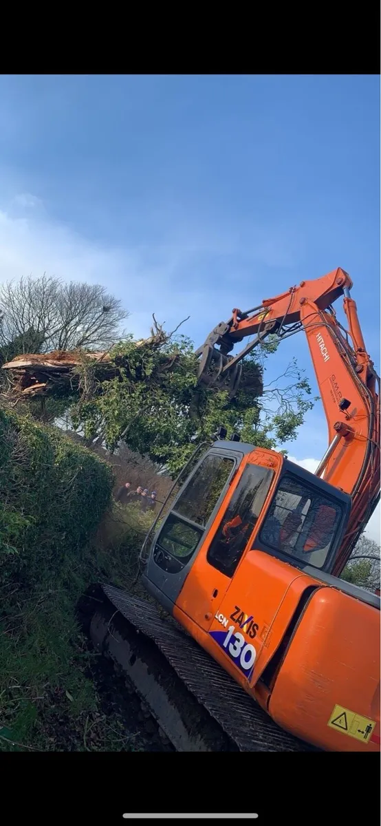 Mulching/Shearing Hedge work - Image 4