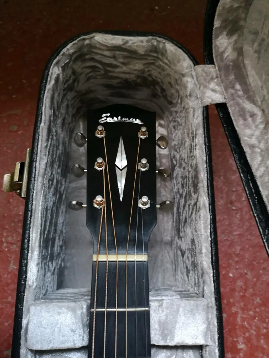 Eastman E20SSV/SB with pickup. - Image 3